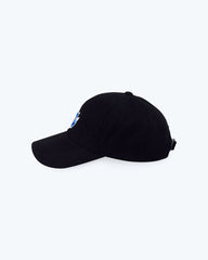A1