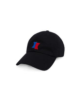 A1