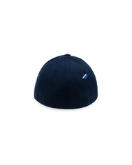 A1
