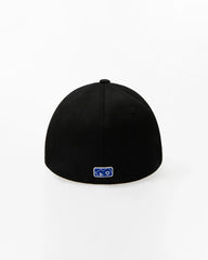 A1