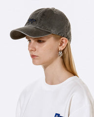 A1