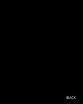 A1