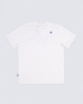 A1