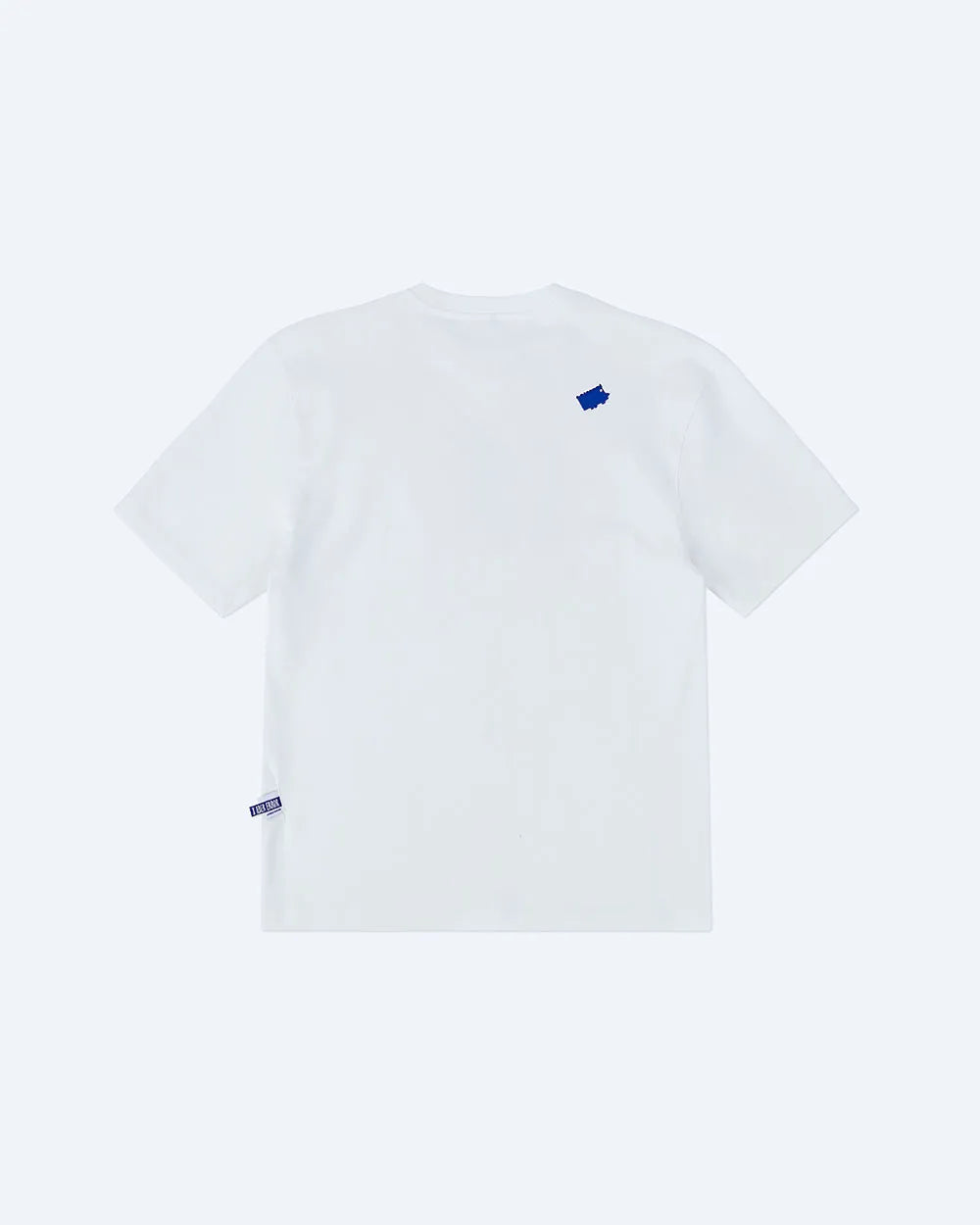 A1