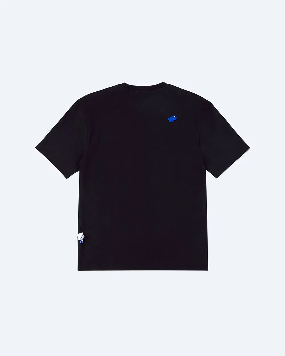 A1