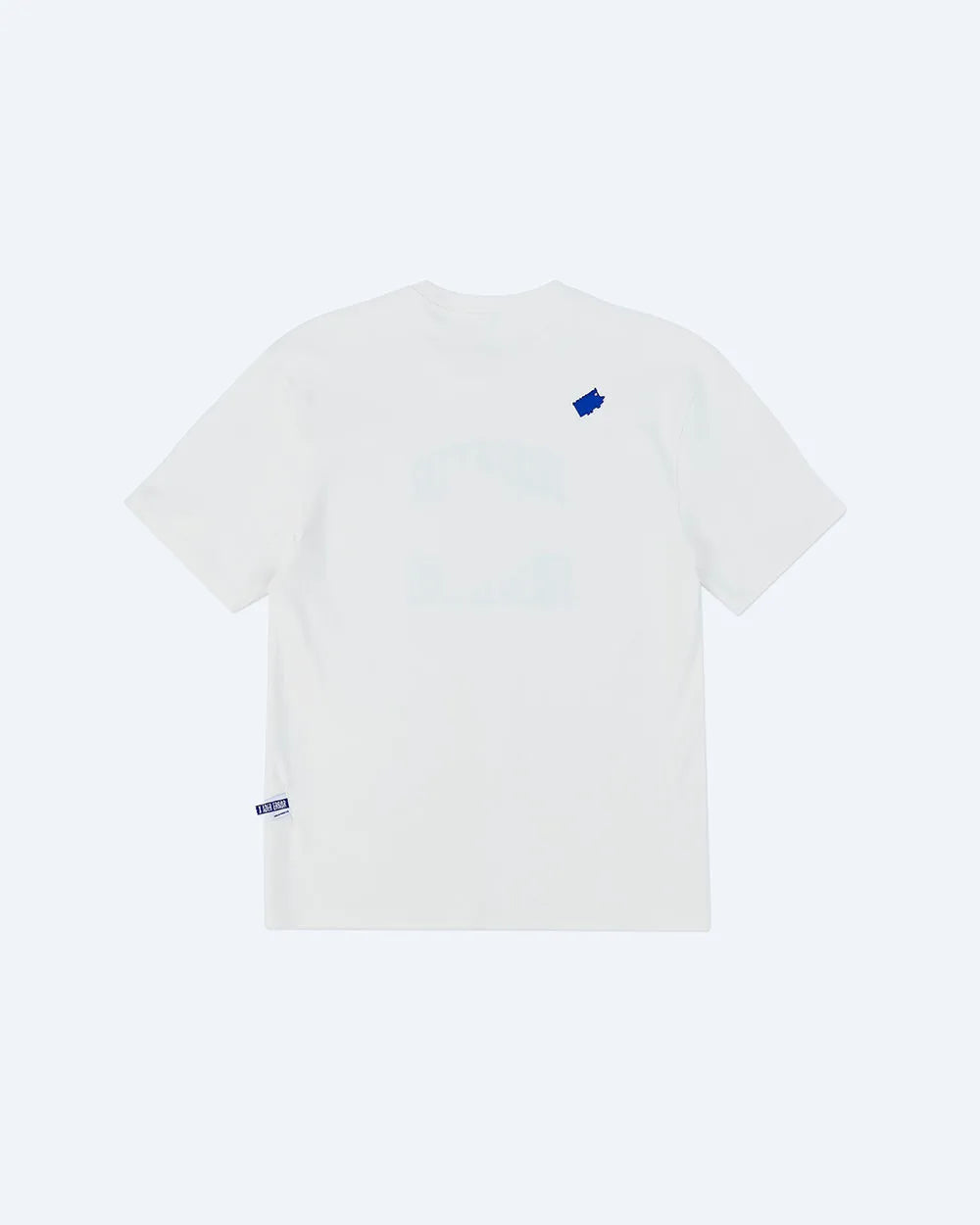 A1