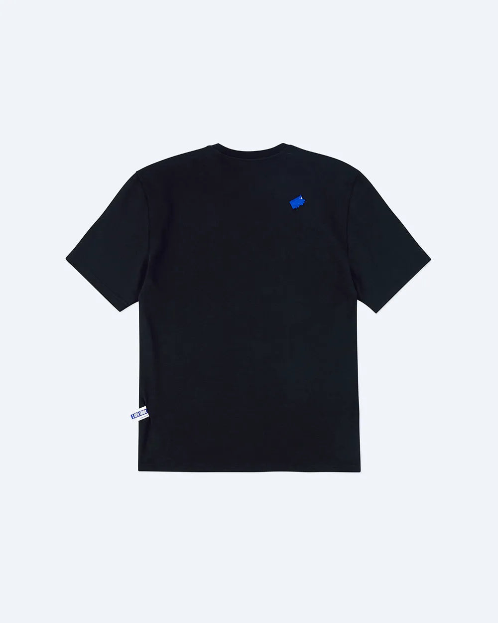 A1