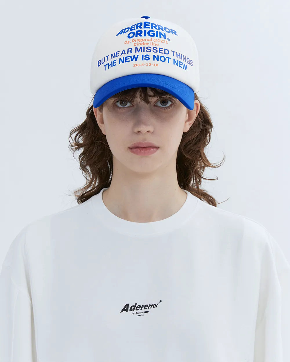 A1