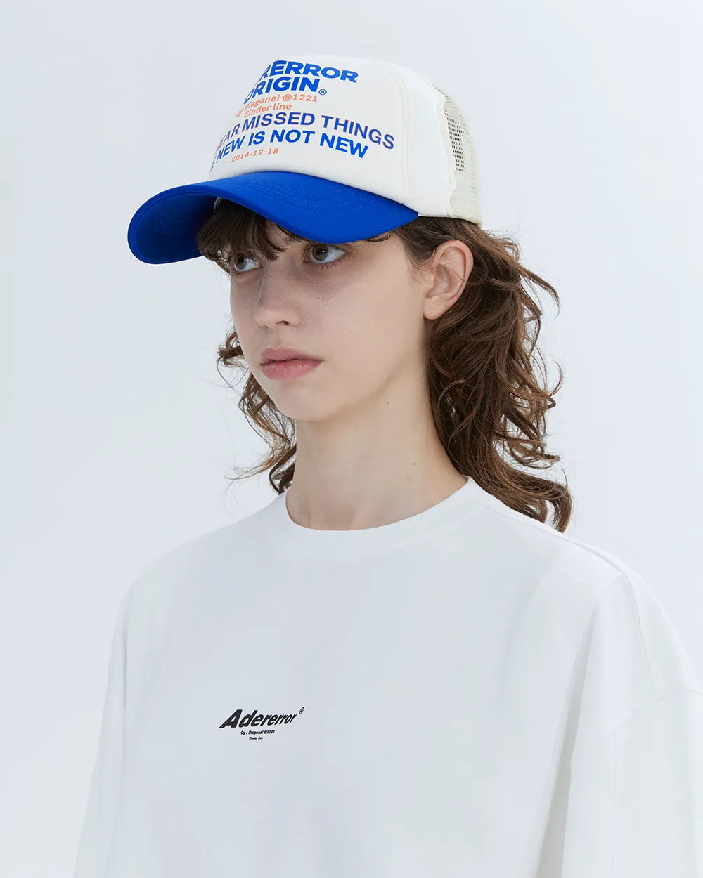 A1