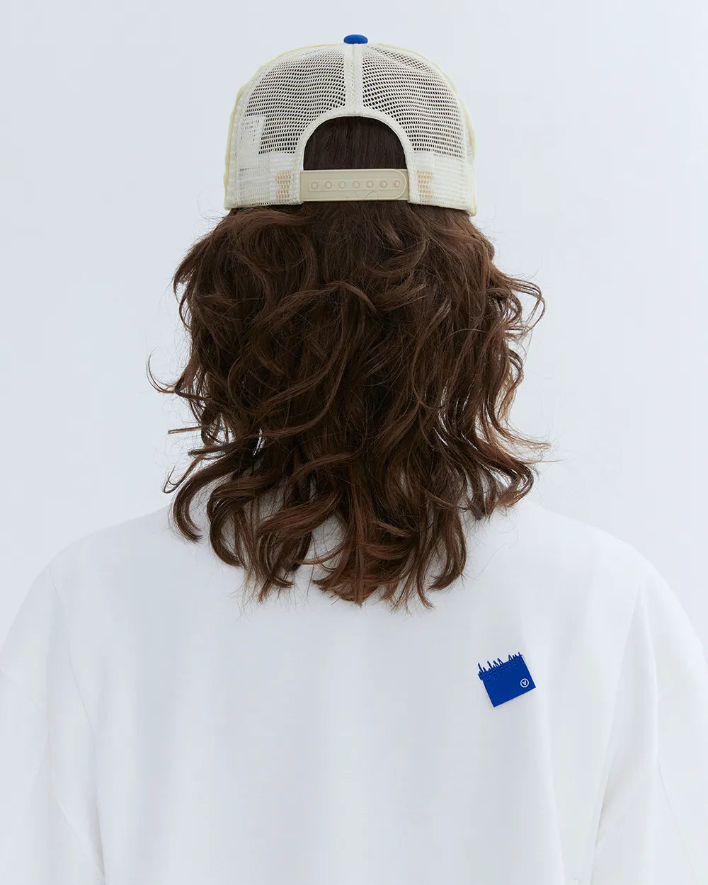 A1