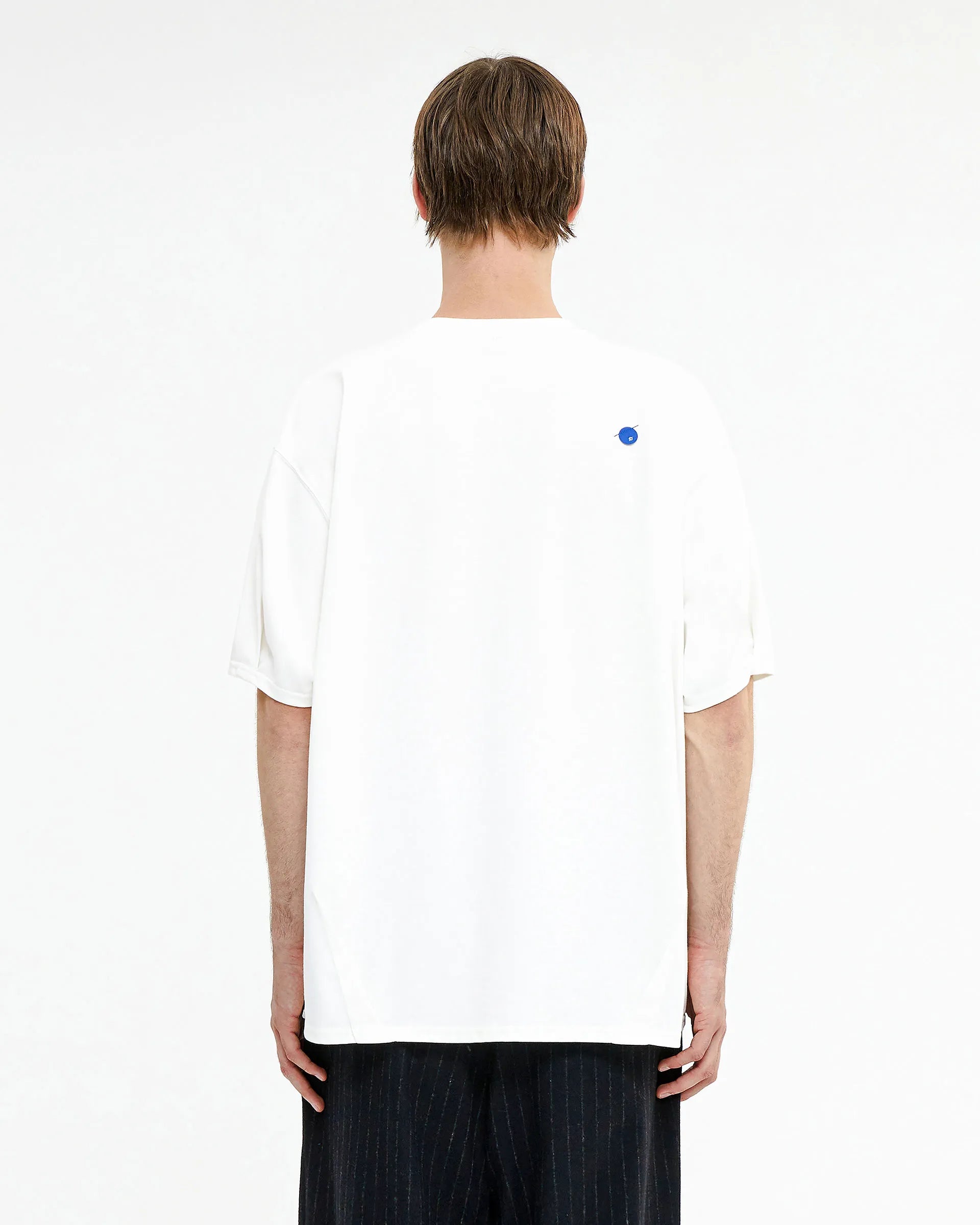 A1