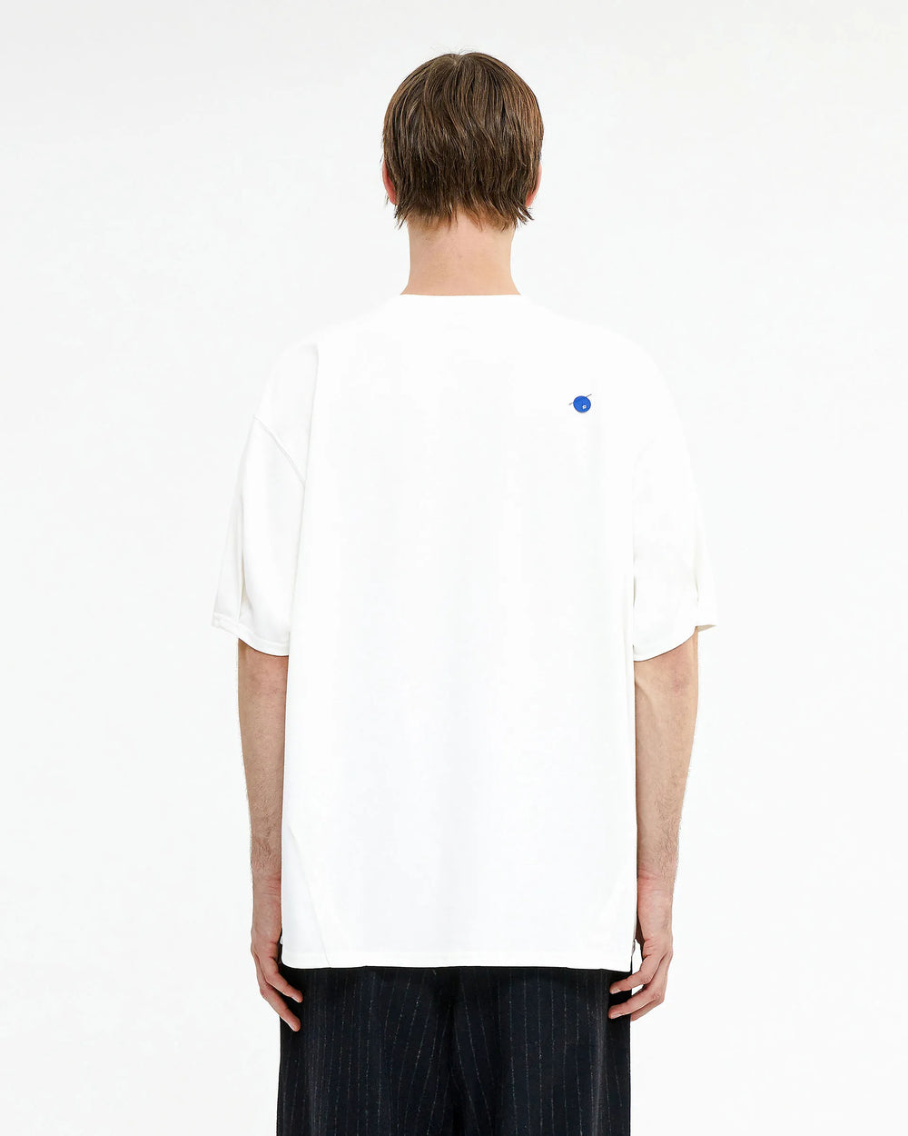 A1