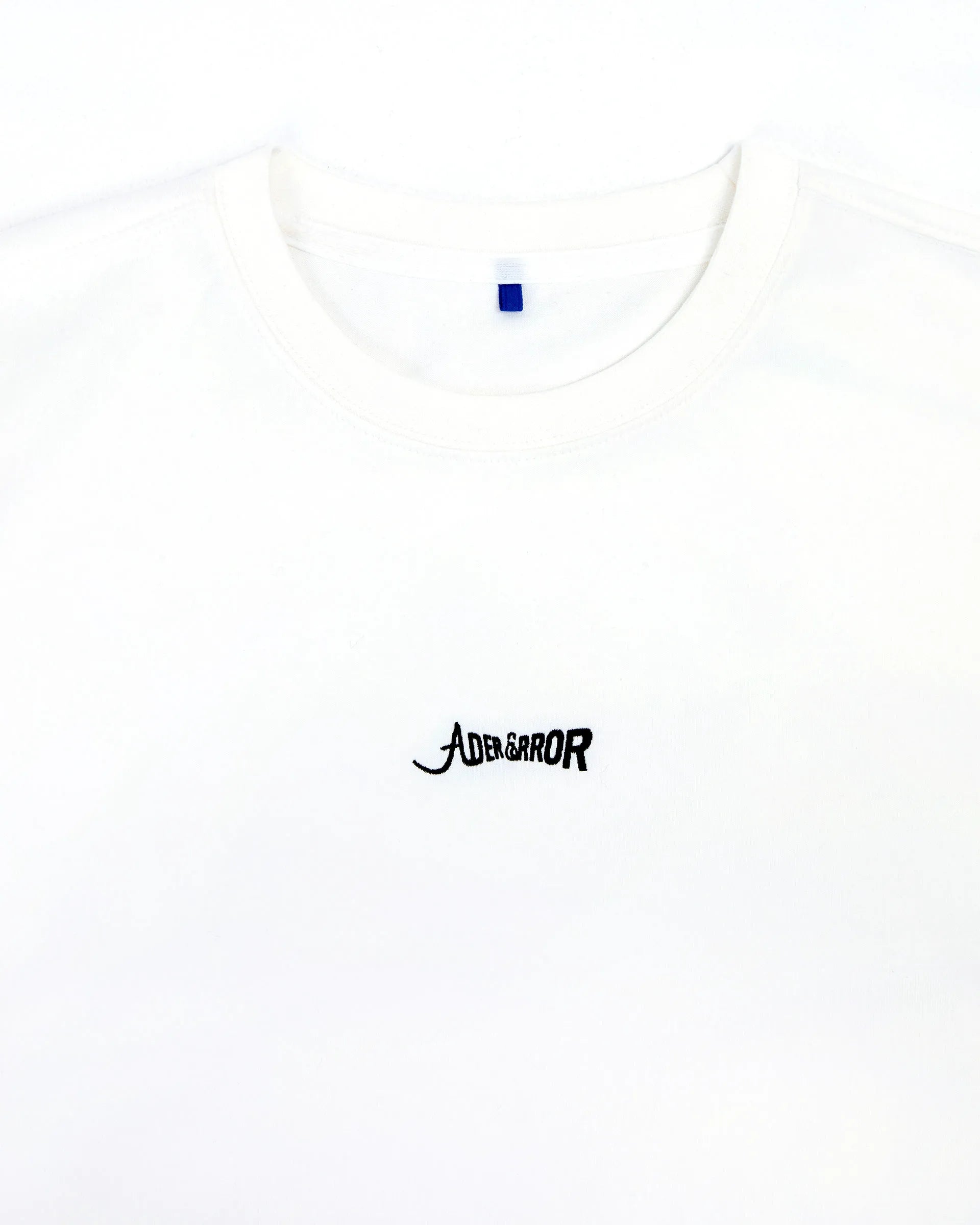 A1