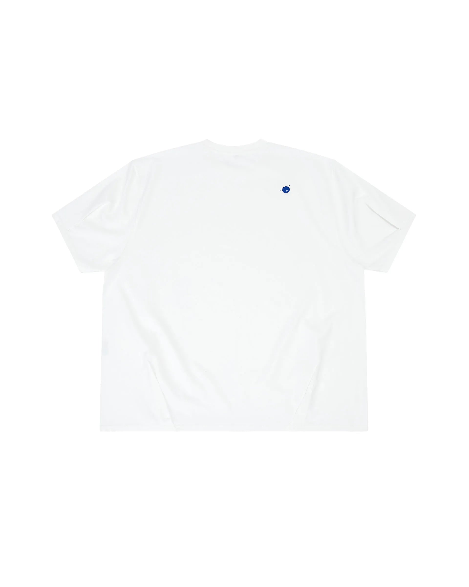 A1