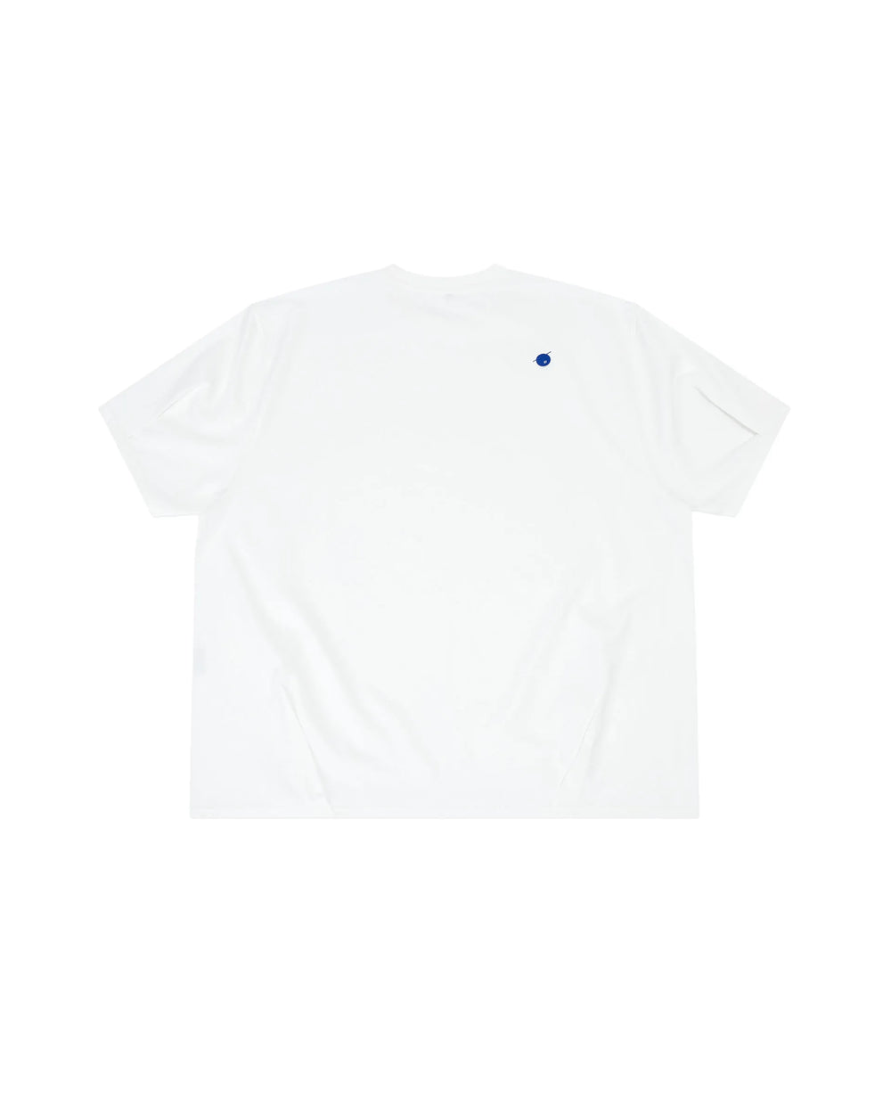 A1