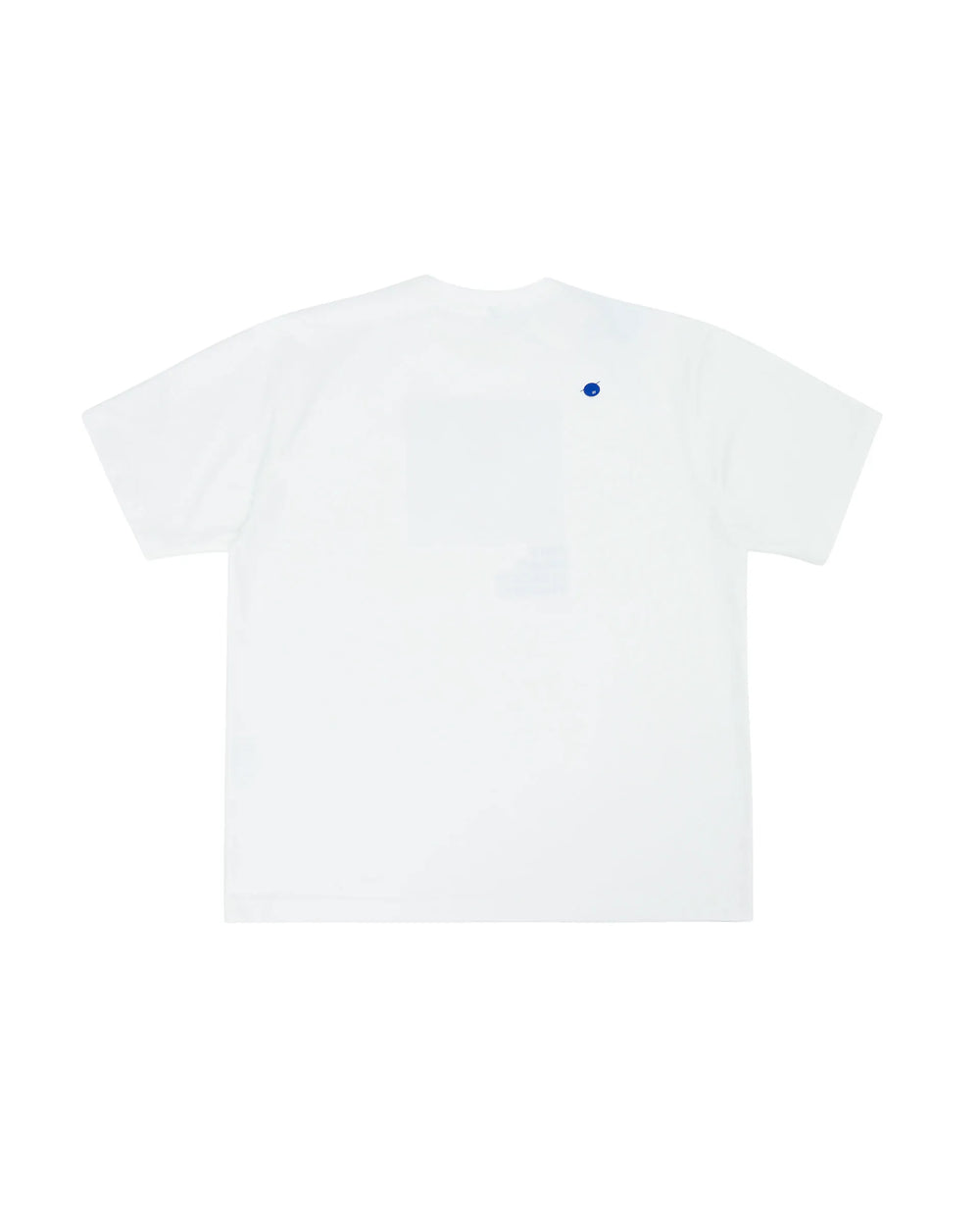A1