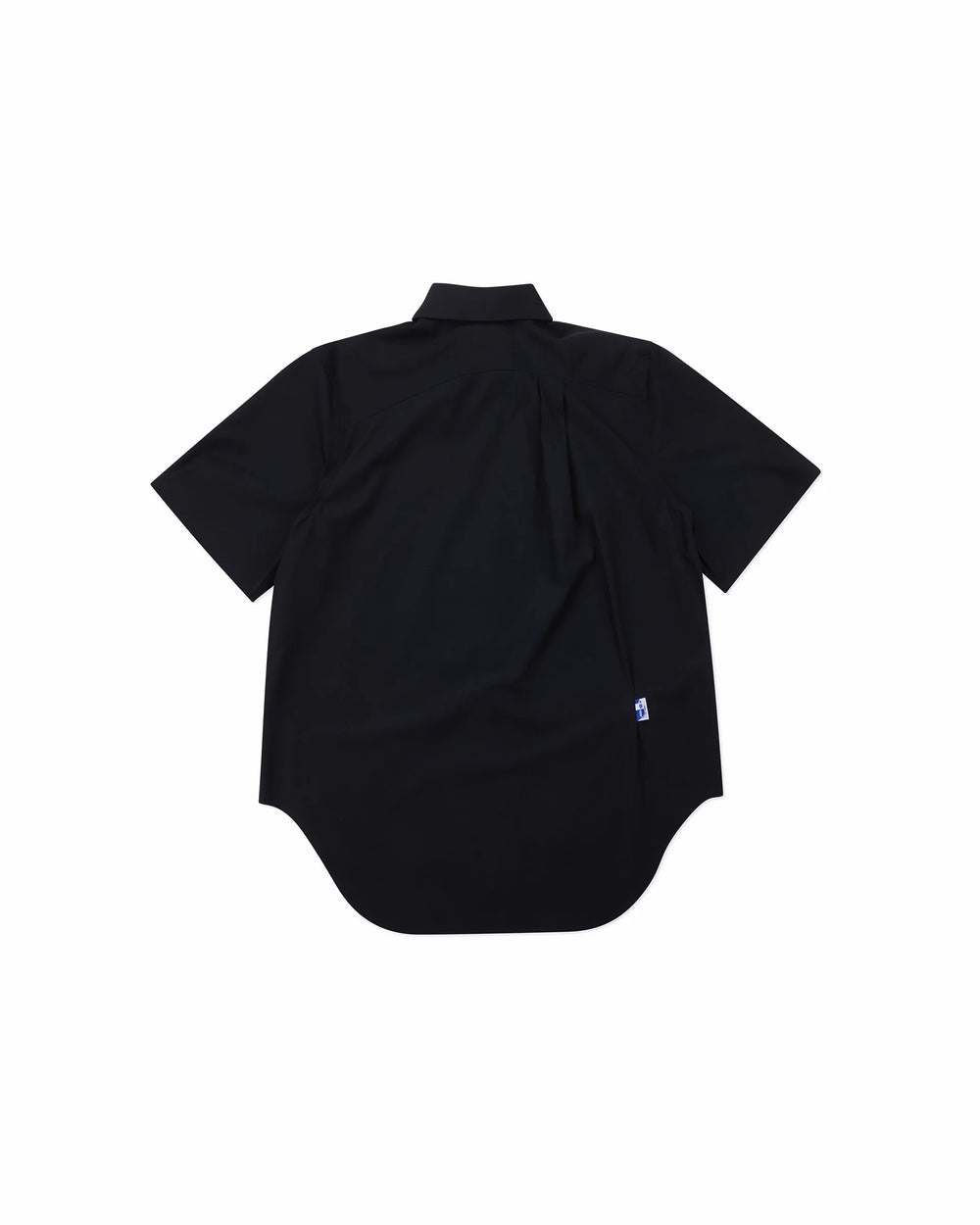 A1