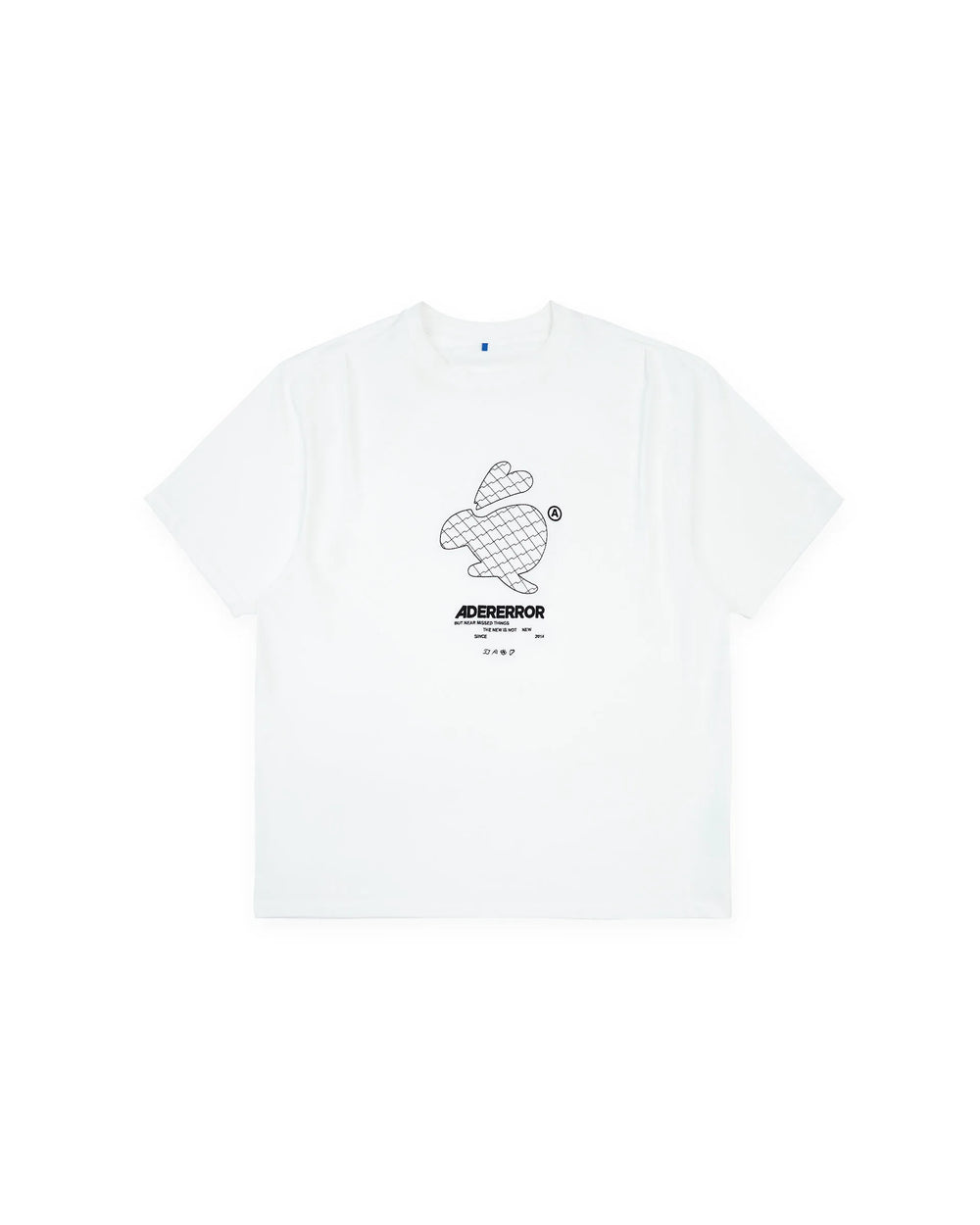 A1