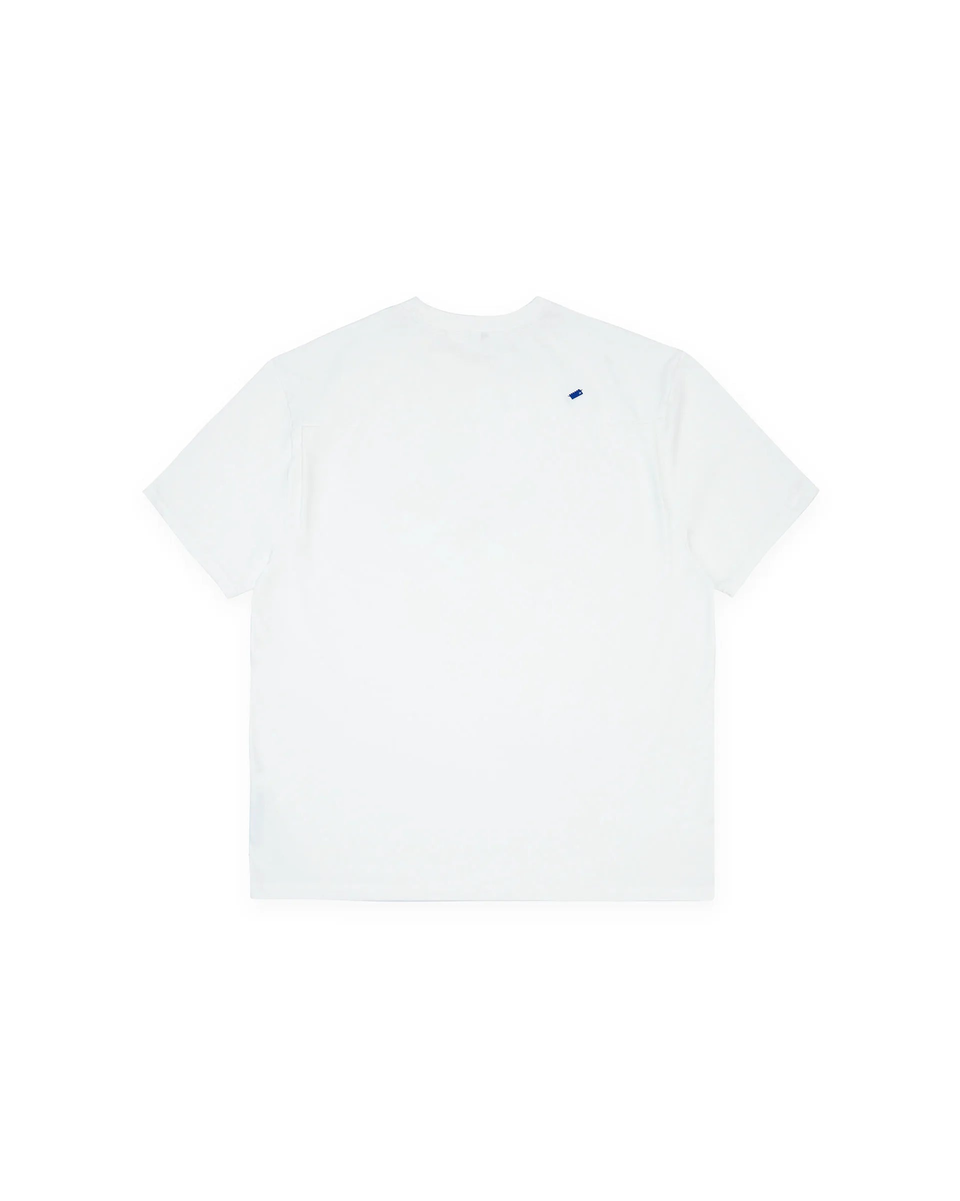 A1