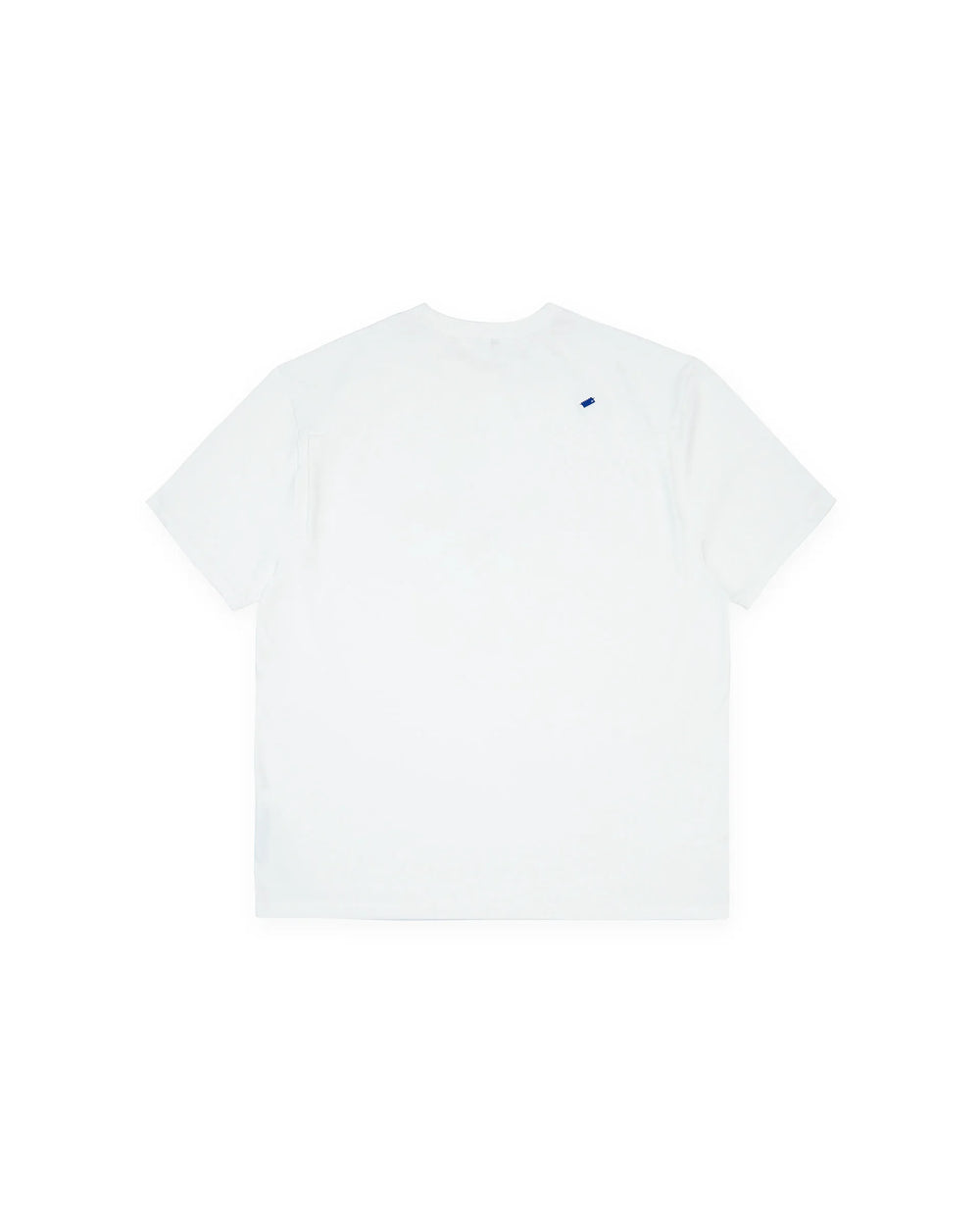 A1
