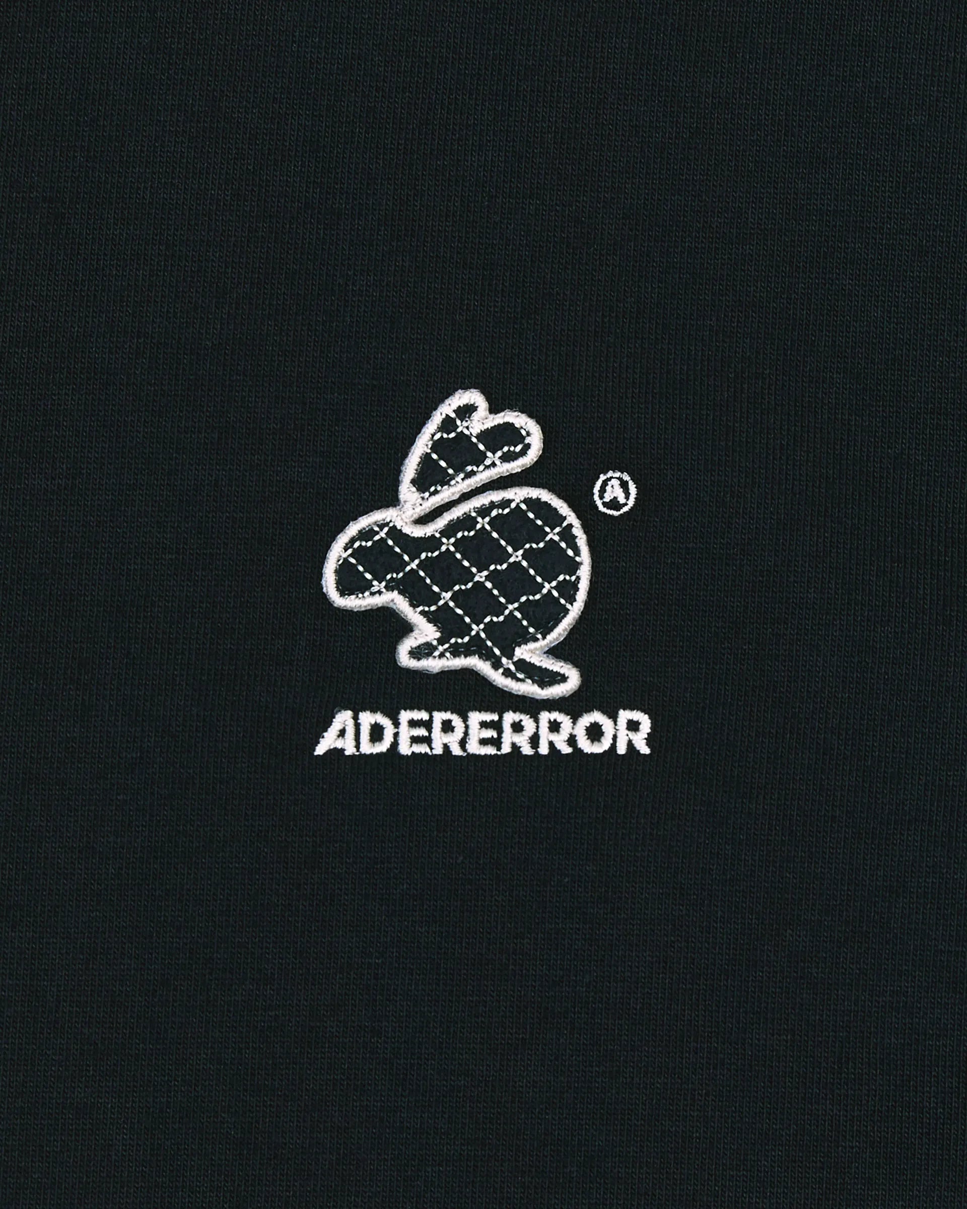 A1