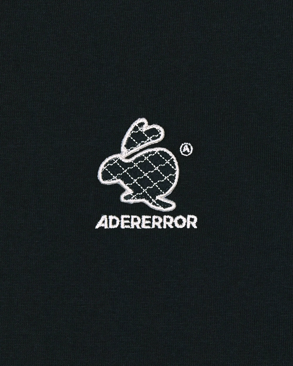 A1