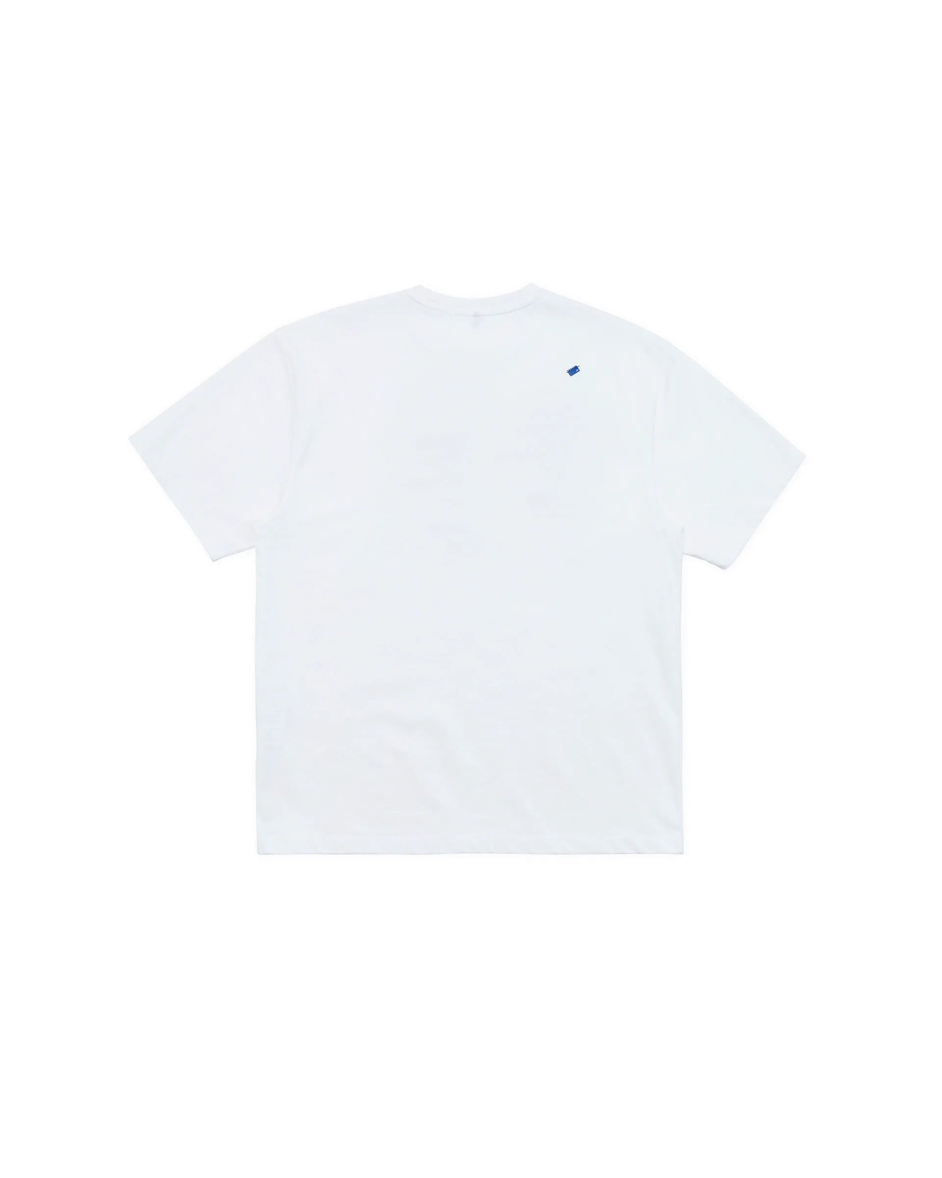 A1