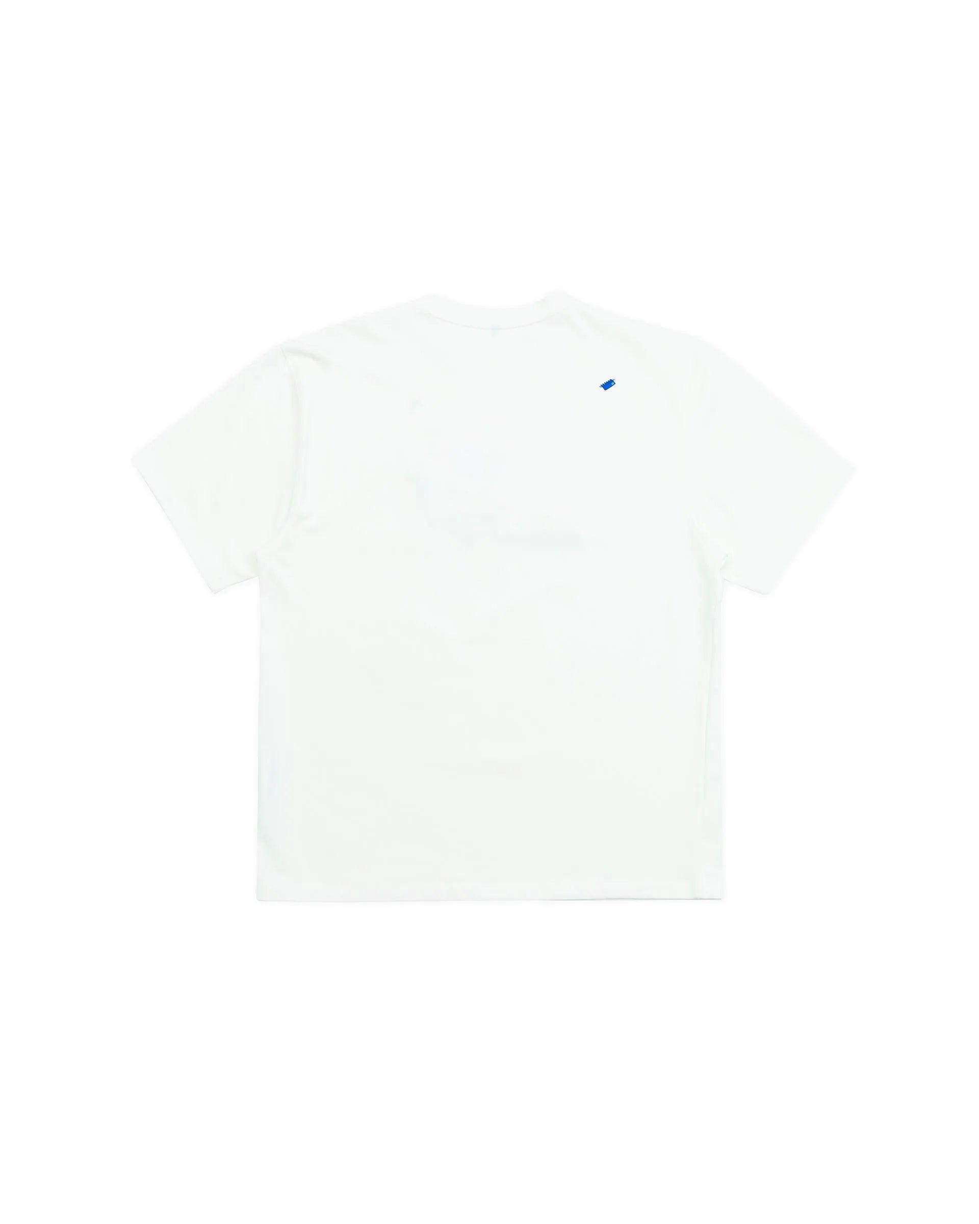 A1