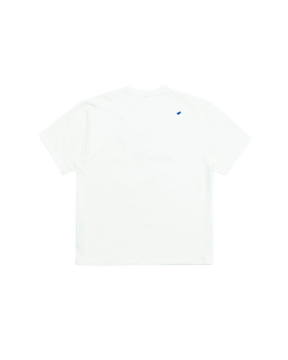 A1