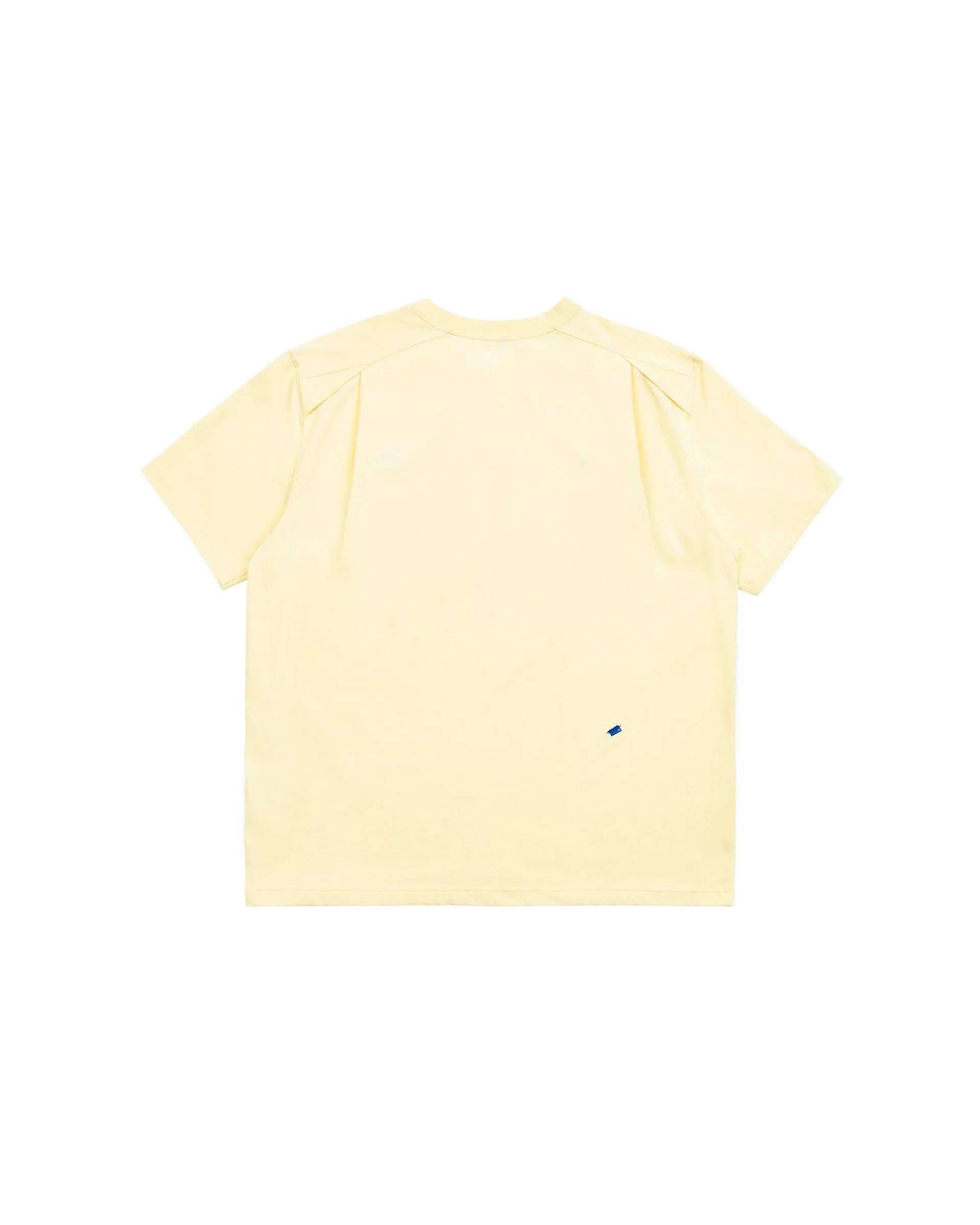 A1