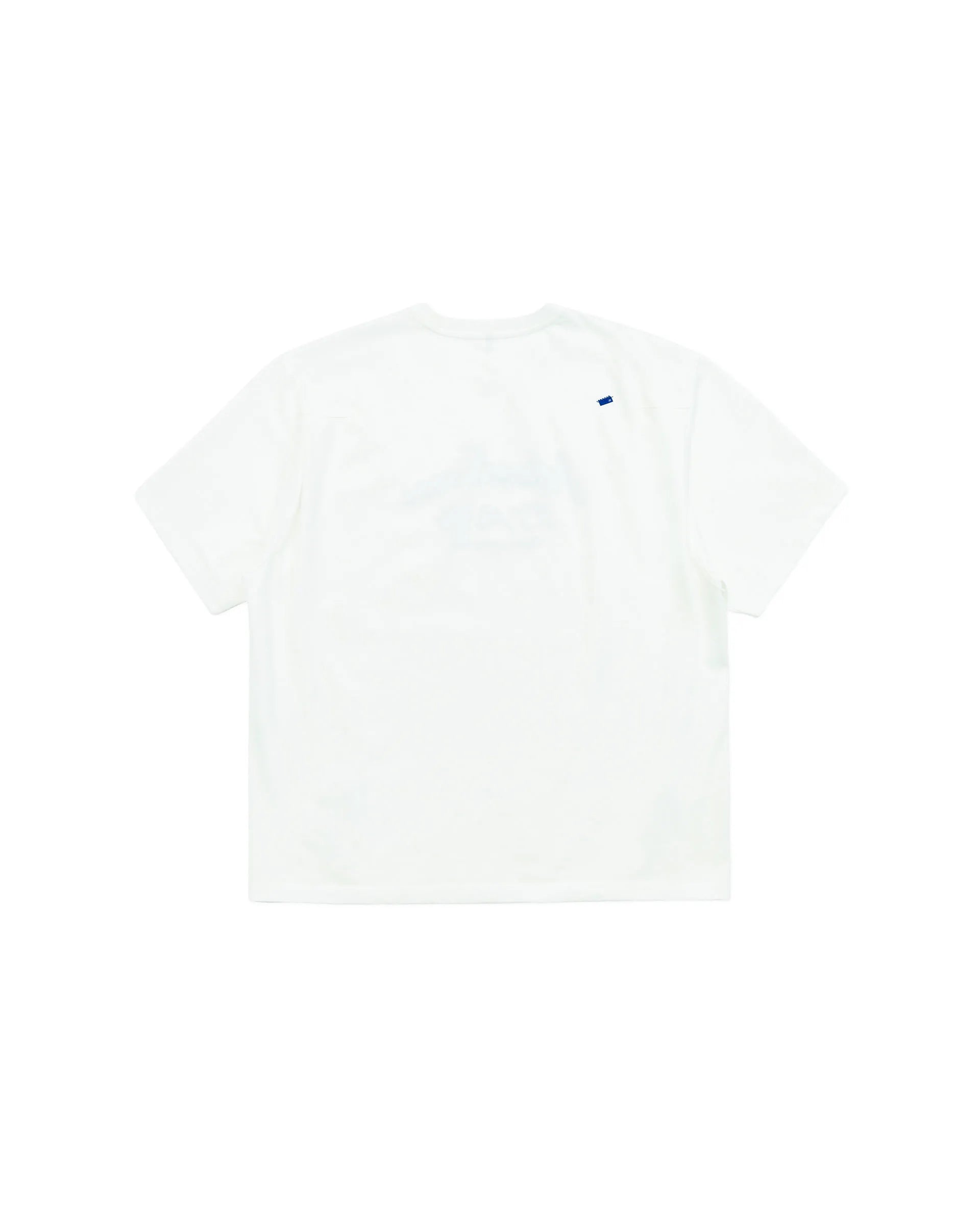 A1