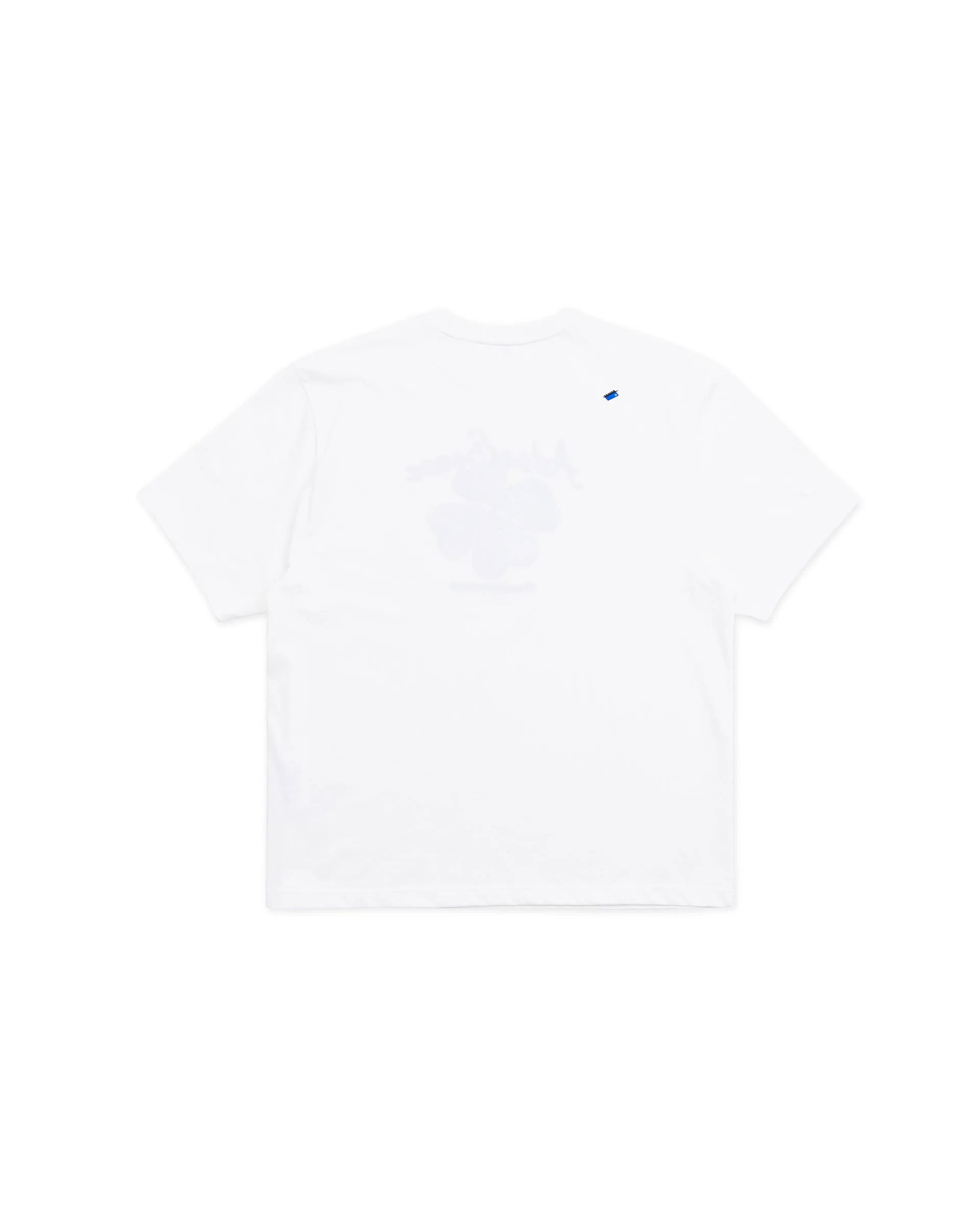 A1