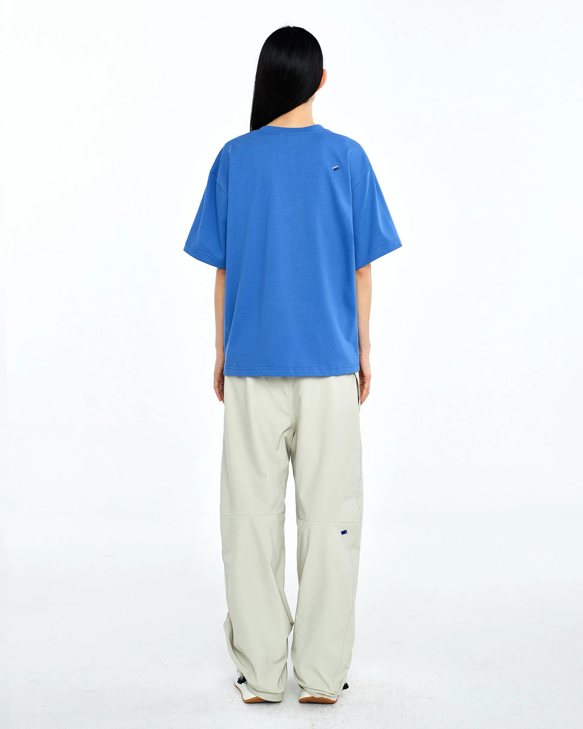 A1