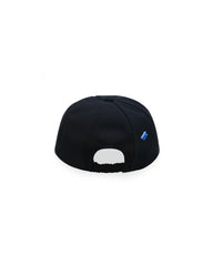 A1