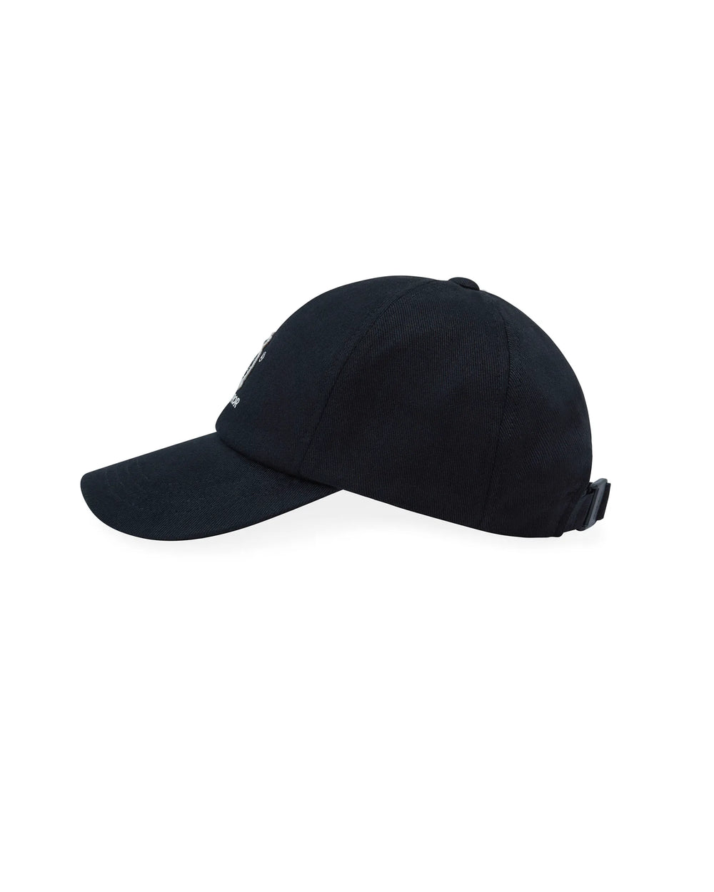 A1