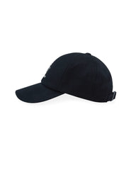 A1
