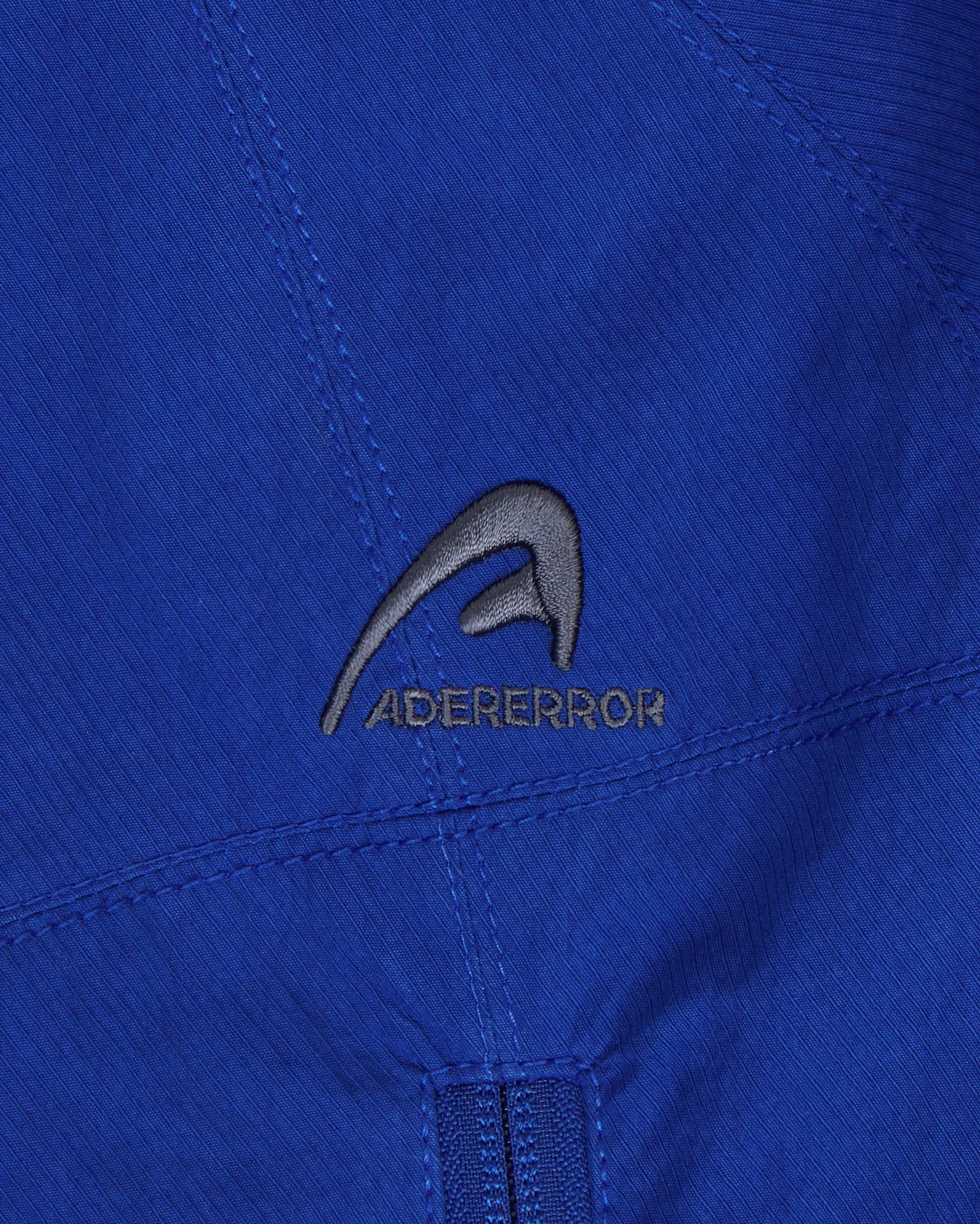 A1
