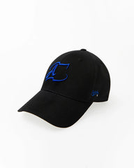 A1