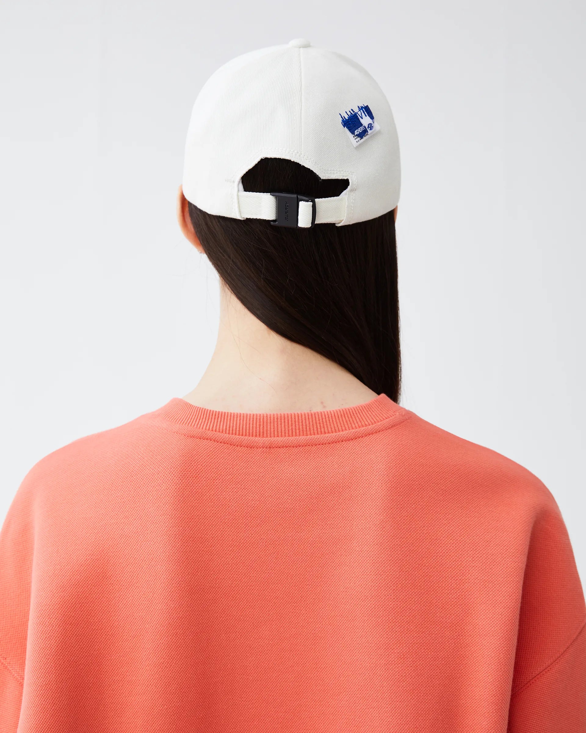 A1