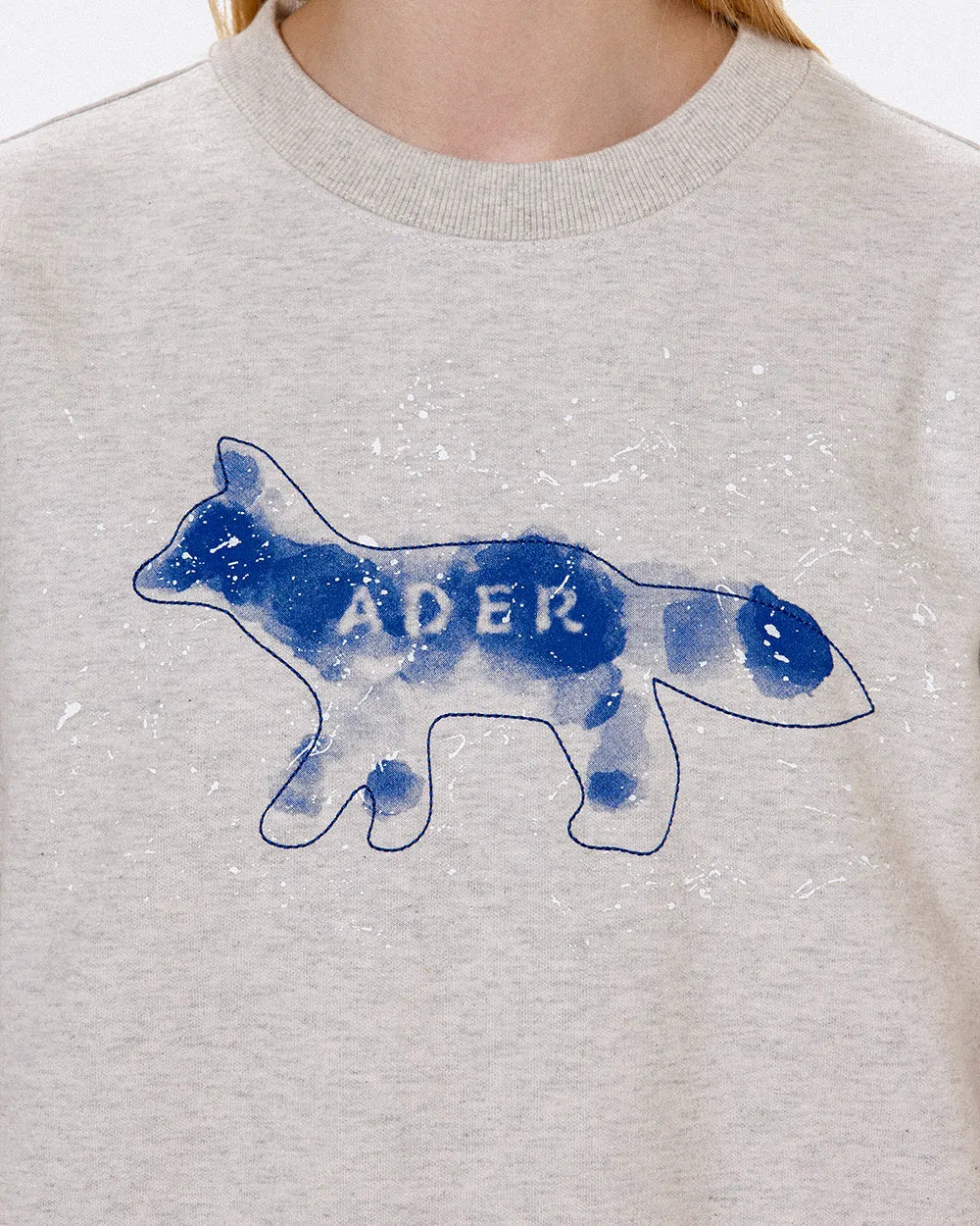 A1