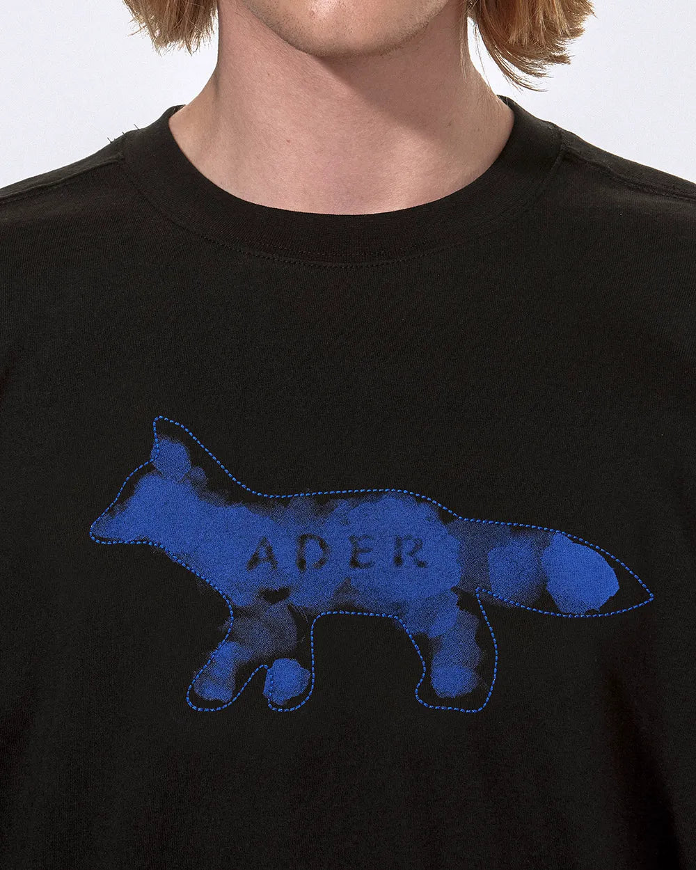 A1
