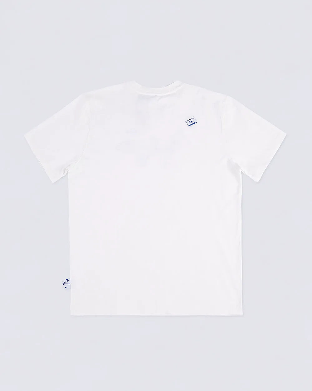 A1