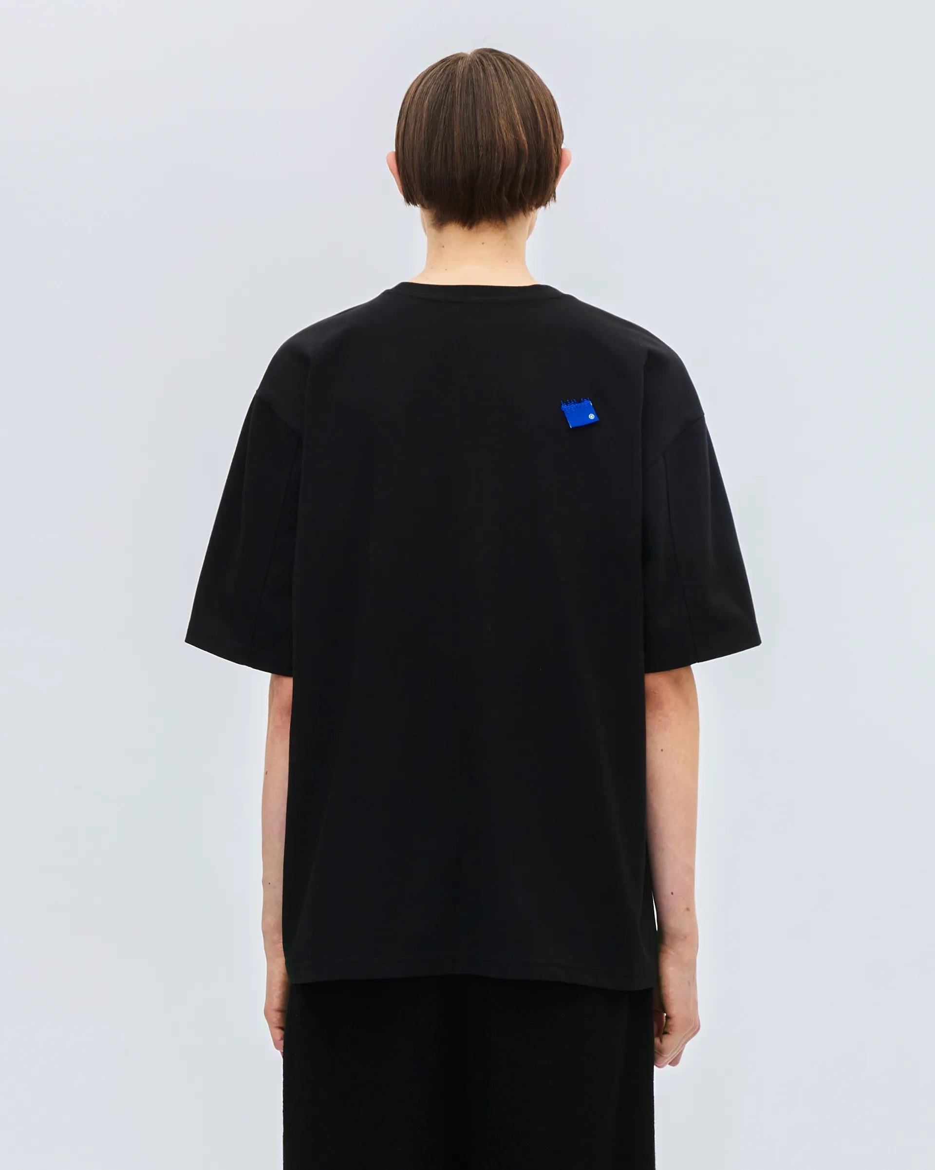 A1