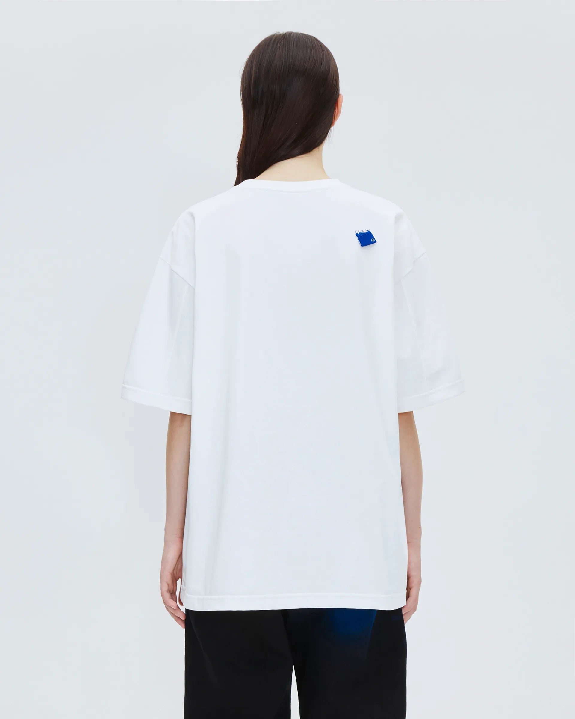 A1