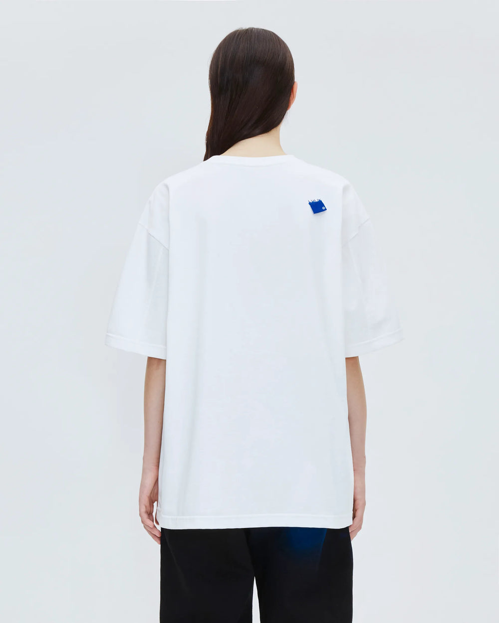 A1