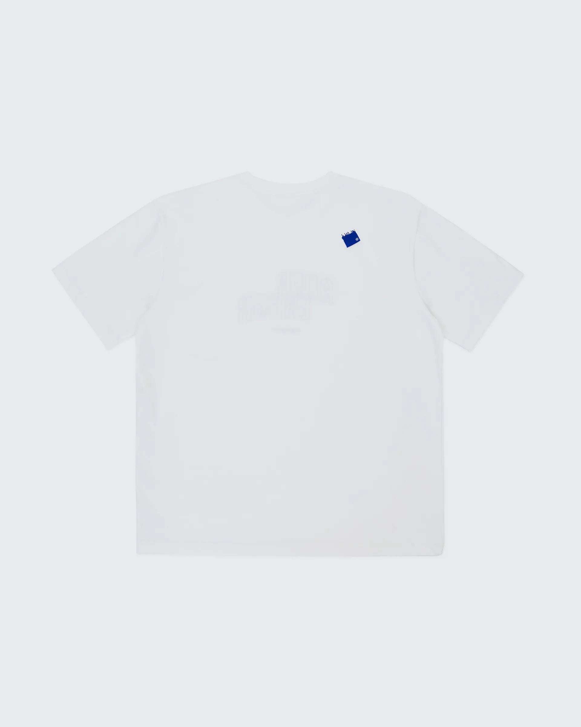 A1