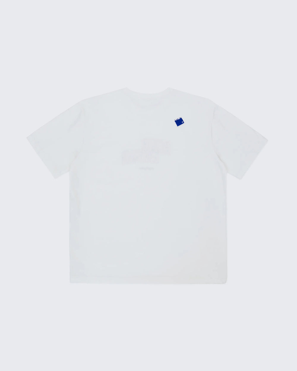 A1