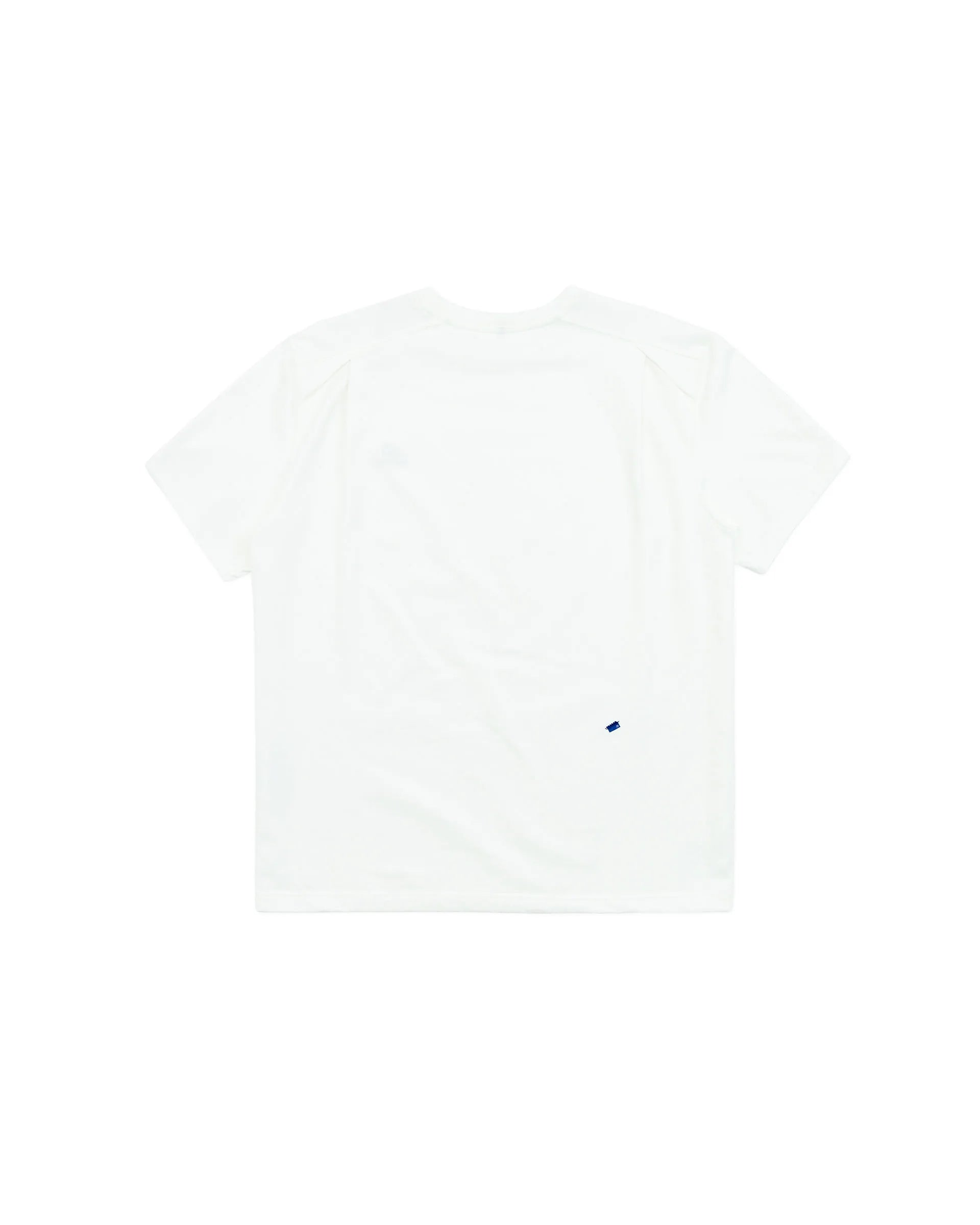 A1