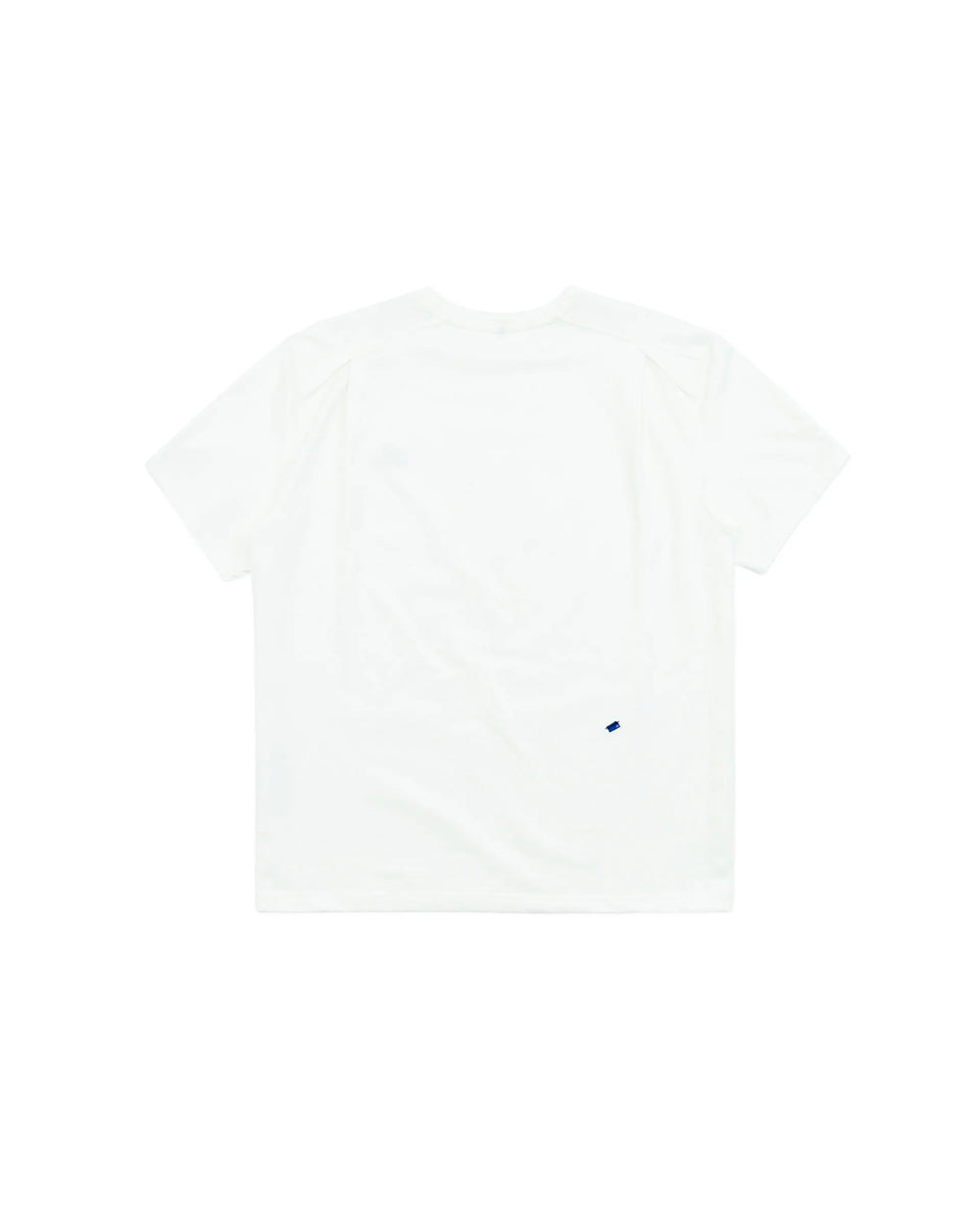 A1
