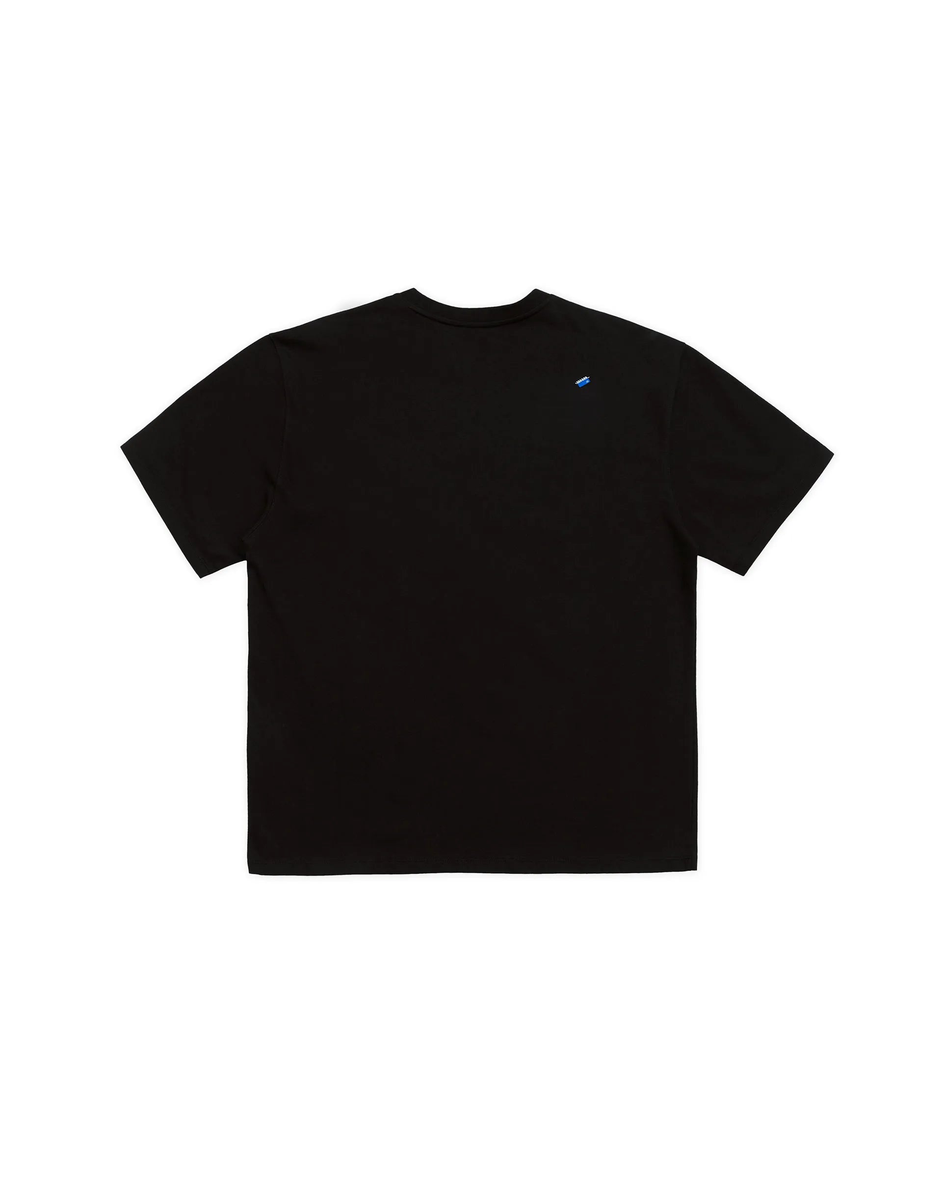 A1